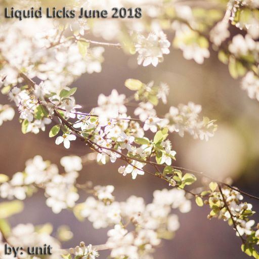 Liquid Licks June 2018