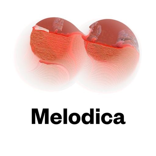 Melodica 8 January 2018 (Ibiza Sunset Mix)