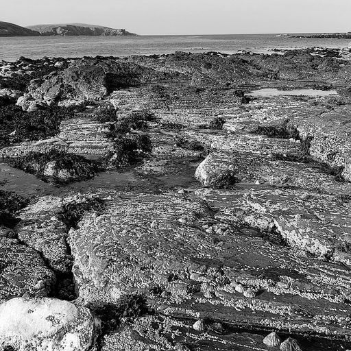 Littoral Transmissions #63 - Neap Tide - 22nd January 2025