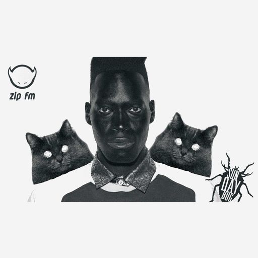 SUNDAY BUG OUT {33} (Zebra Katz)