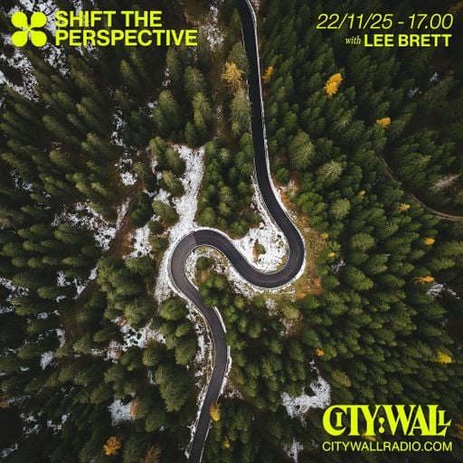 Shift The Perspective w/ Lee Brett - November 2025