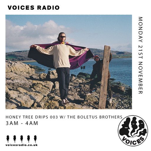 Honey Tree Drips 004 w/ The Boletus Brothers - 21/11/22
