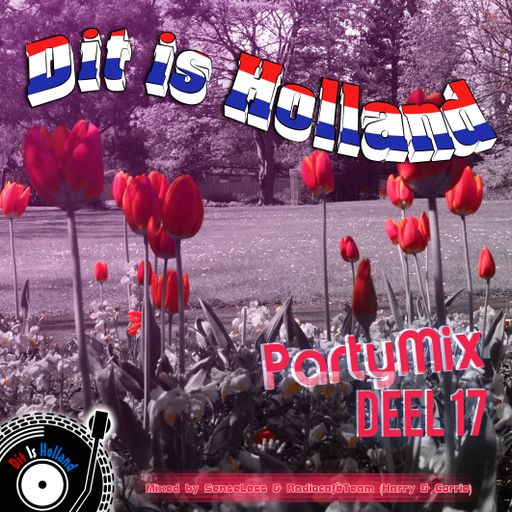 Dit is Holland Deel 17 Partymix