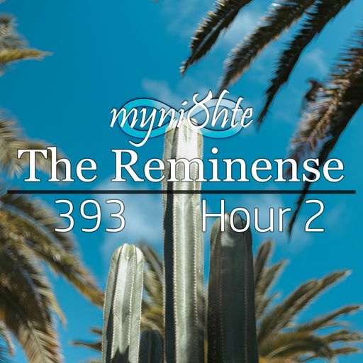 The Reminense 393 - Hour 2