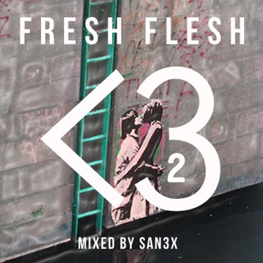 FF VOL. 32 // SAN3X