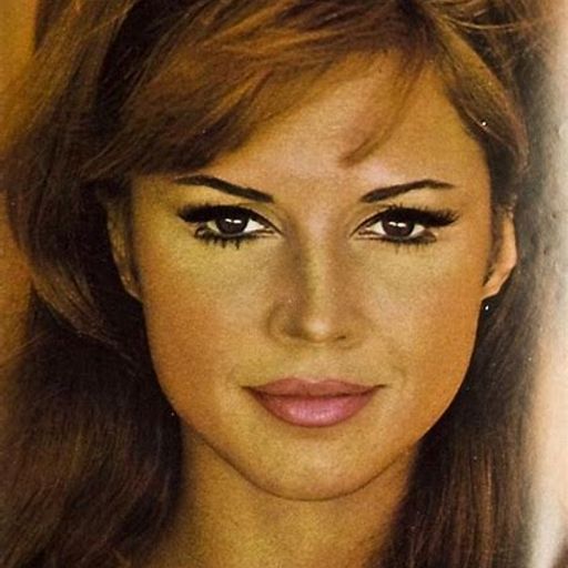 In Plain Sight (ExtendedChillTrip)