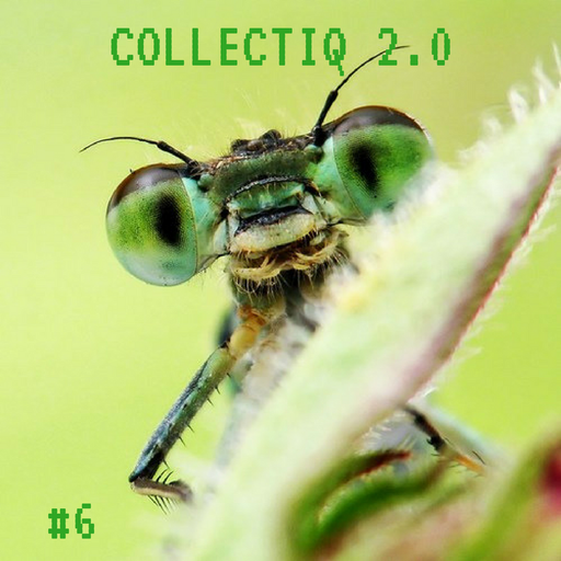 Collectiq 2.0 #6: Boggamasta