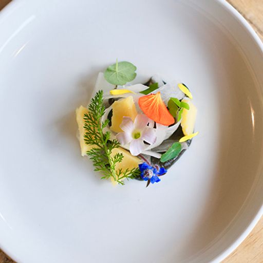 Smashable Feeds interview on Breakfast 6-4-18