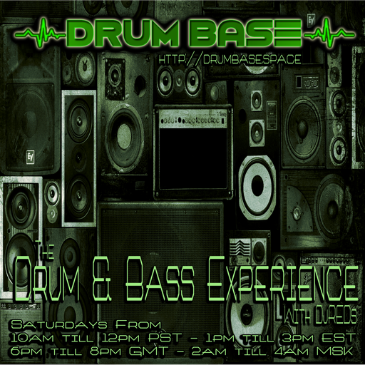 THE DNB EXPERIENCE 170318