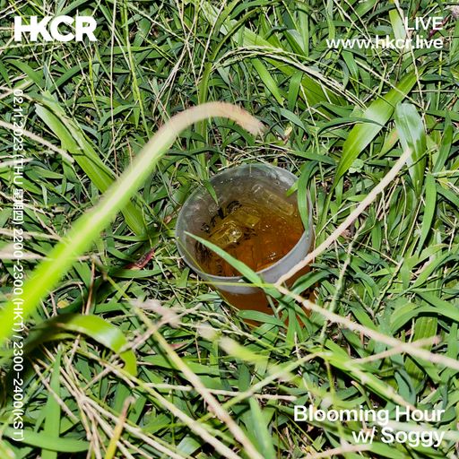 Blooming Hour w/ Soggy - 02/11/2023