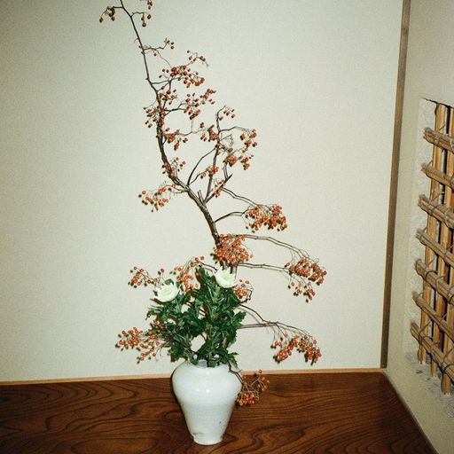 HTRK - 4th March 2026