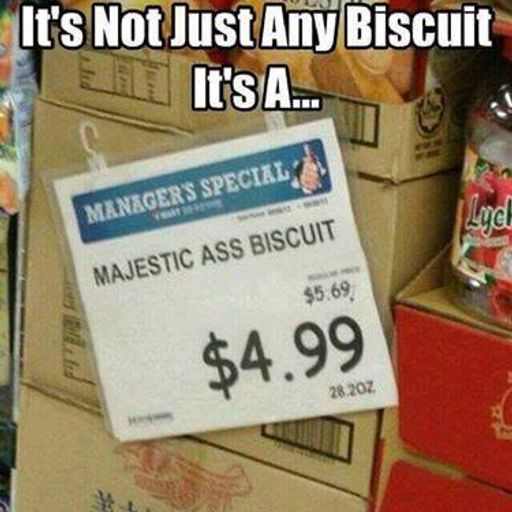 Biscuit 1A- Studio Party Rolls (Part 2)