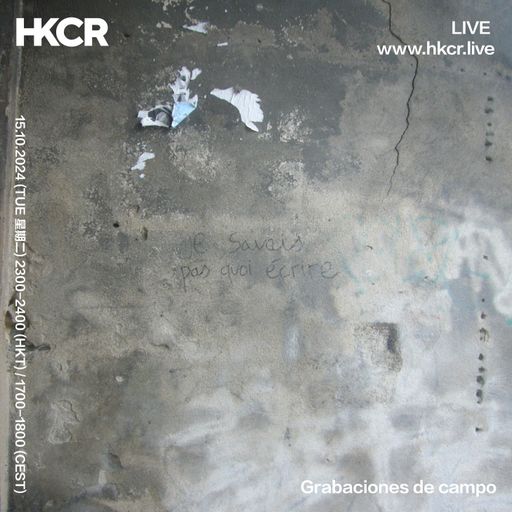 Grabaciones de campo - 15/10/2024