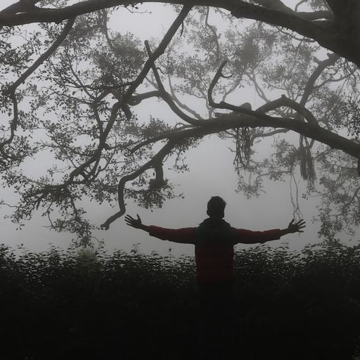 Gistro FM 865 (18/06/23) Nature Boy