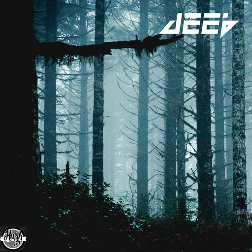 đRum & Bass Friday's with @BrandonDNB on @HushFMRadio (3-17-2017)