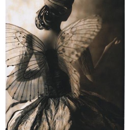 The Girl with the Fairy Wings (FunkyLounge)