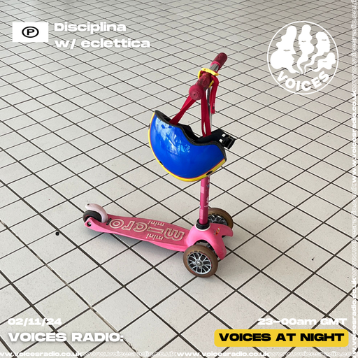 Electtica - 02/11/24 - Voices Radio