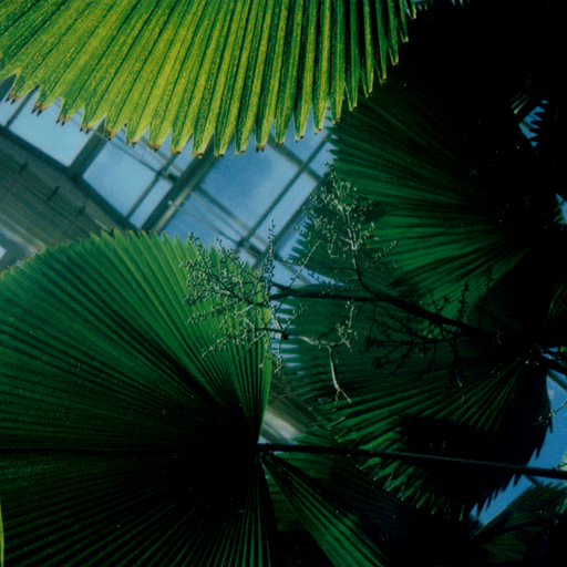 A Month of Sundays w/ Bill Spencer - 6th July 2025