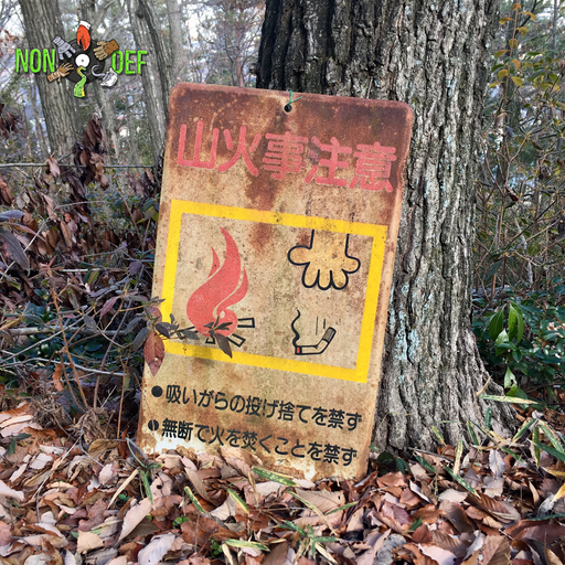 nondef: tour to taiwan & japan