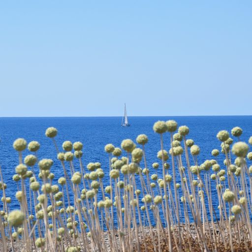 Death Drums w. Matty - March 2023