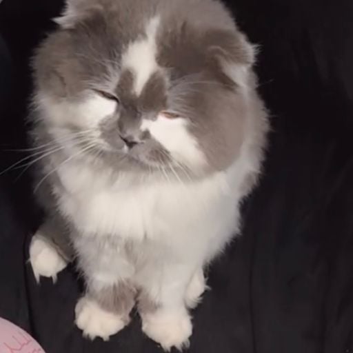 HBD K'ชะเอม ณัฐฐา [ DJ.BIGBANG MC.MAXKY ]