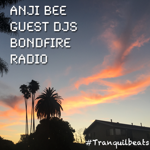Chillcast Guest DJ for Tranquil Beats on Bondfire Radio (Part 4-5)