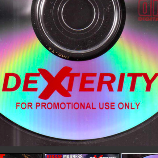 DJ Dexterity - Hip Hop Reggae #4 (1999)
