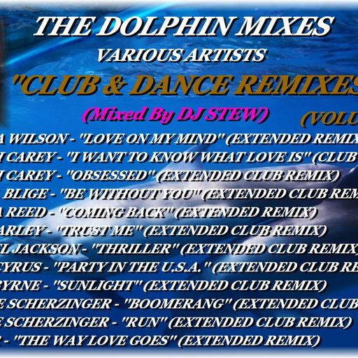 THE DOLPHIN MIXES - VARIOUS ARTISTS - ''CLUB & DANCE REMIXES'' (VOLUME 28)