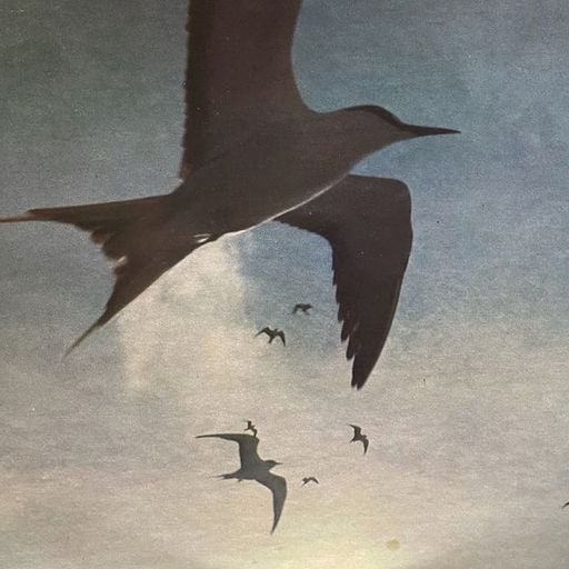 Aloha Got Soul Presents: Home Grown - 22nd March 2026