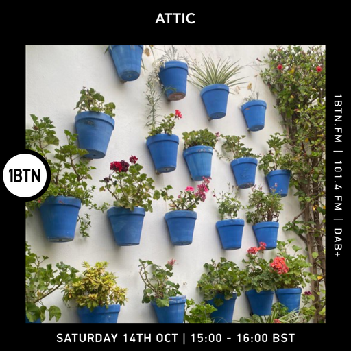 Attic - 14.10.2023