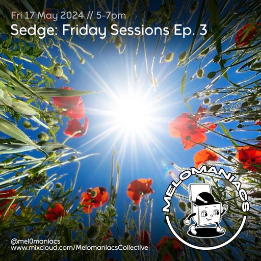 Sedge // Friday Sessions Ep 3