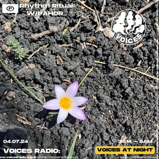 Rhythm Ritual w/ PAHOR  04/07/24. [Voices Radio]
