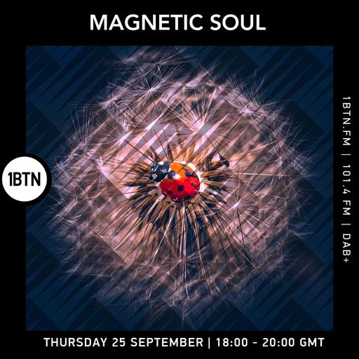 Magnetic Soul - 25.09.25