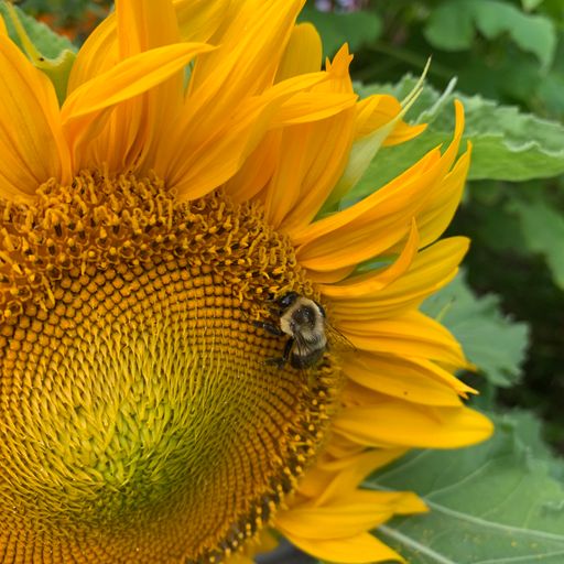 Brother Love's Deep Grooves Friday Night