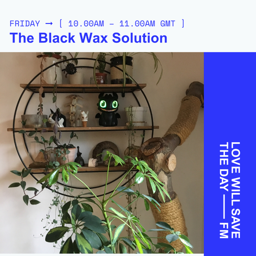 2025-02-28 Black Wax Solution | LWSTD-FM