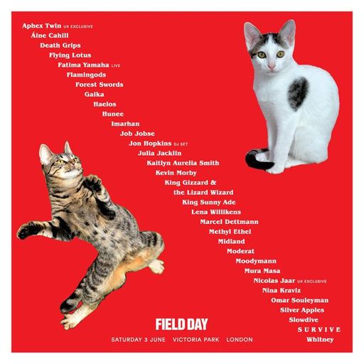 Aphex Twin LIVE at Field Days Festival @ Victoria Park (London - UK) - 3 June 2017