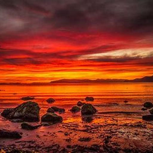 Sun Dance (WiredFusion)