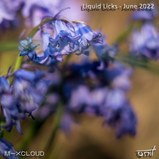 Liquid Licks - June 2022