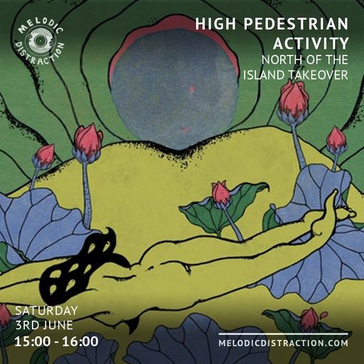 High Pedestrian Activity: North of the Island with Neil Diablo (June '23)