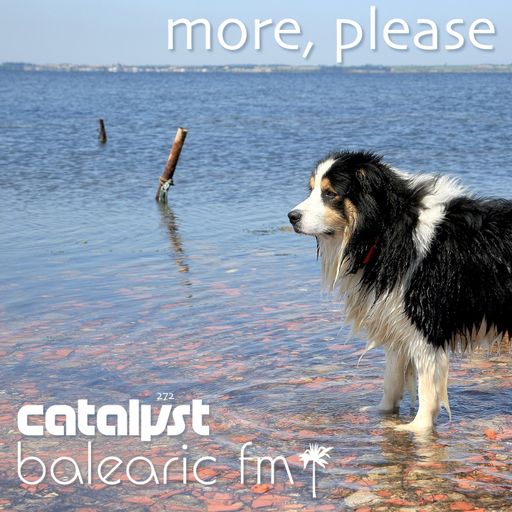 more please (catalyst, 272)