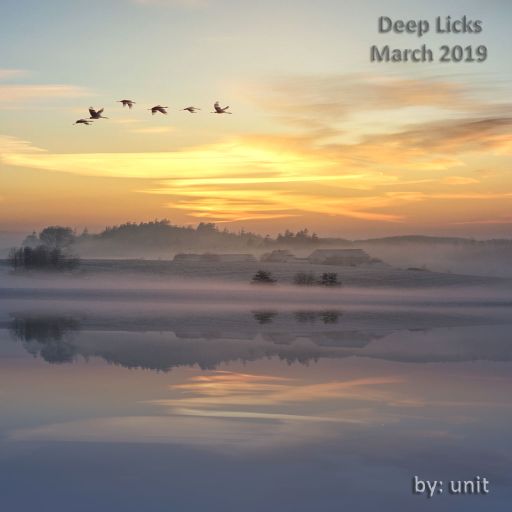 Deep Licks March 2019