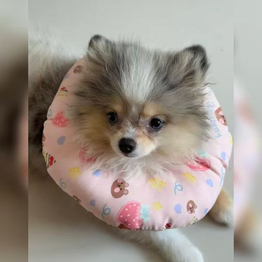 DJ'YE【Yy Private Mix'25】《王艷薇 - 離開我的依賴 X 菲菲公主 - 第57次取消發送 X TINY7 - 零距離的思念》Mixtape 2x25