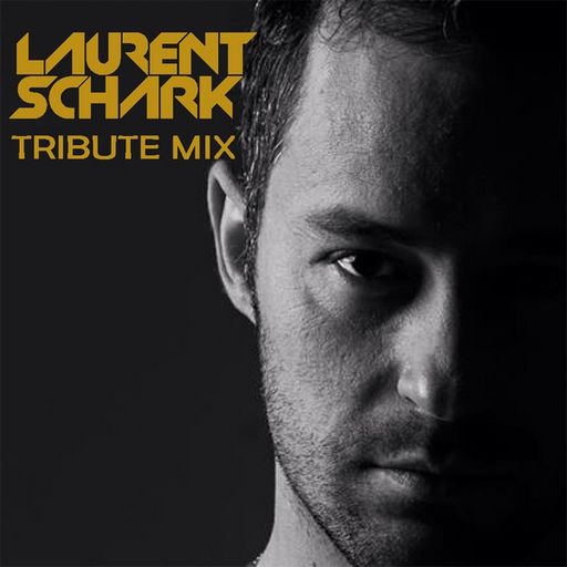 Tribute Mix to Laurent Schark