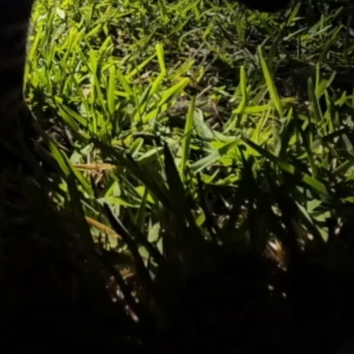 twarz restless [jan2026] smooth temptress [cloud bass superstars 2026 01 21 06.46]