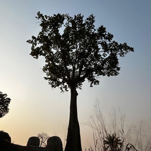 TheCalm - Sound Without Borders - 10th September 2025