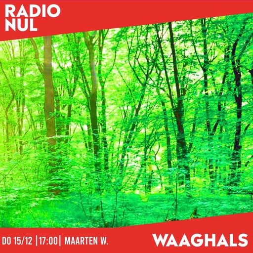 Maarten W- Psychotropic Panoramas: Voyages into Neopsych, Space-age & Acidfolk - Waaghals / 15-12-22