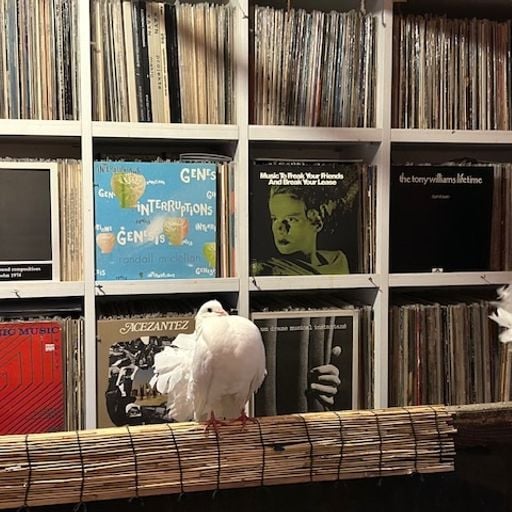 Merzbow - 13th November 2025