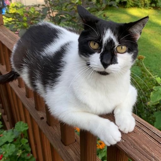 Just Peachy Mix!!!! Brother Love's Deep Grooves from the Grove