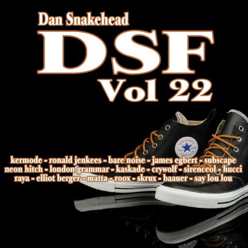 Dan Snakehead - Dirty Step Fodder Volume 22