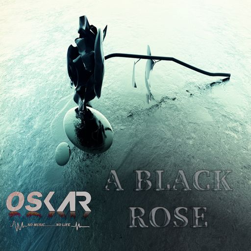 A BLACK ROSE